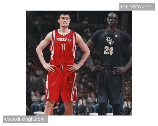 姚明豪宅揭秘NBA巨星的奢华生活与独特设计风格探讨