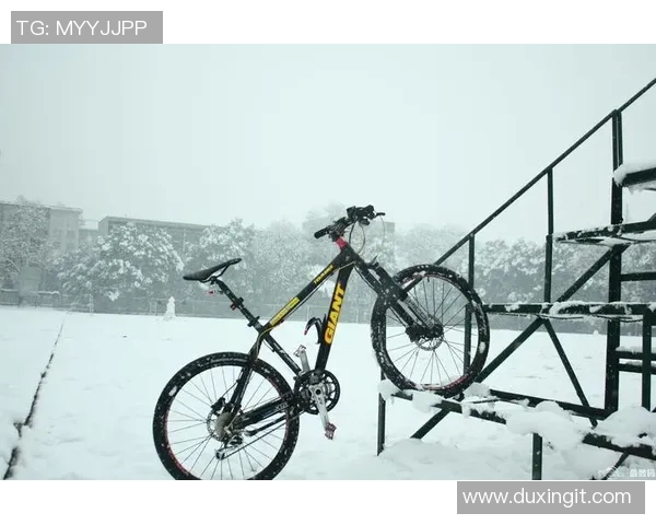 信丰篮球明星的崛起与奋斗历程展现了青春的激情与梦想的追求